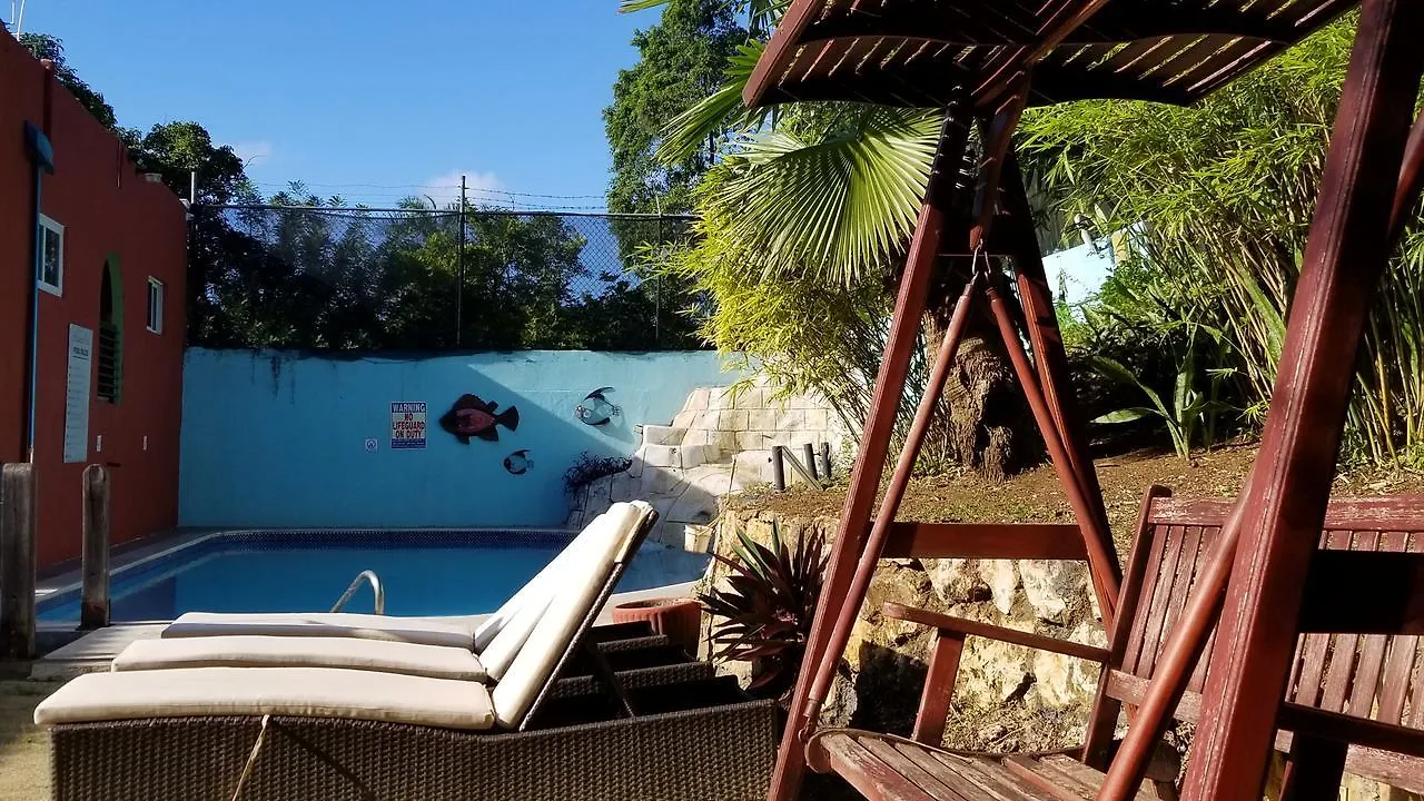 Altamont West Hotel Montego Bay 3*,  Jamaika