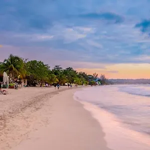 https://driftersone-mile.hotelsnegriljamaica.com